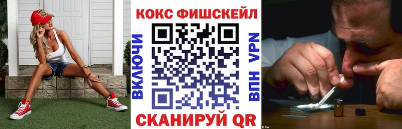 Купить где Северо-Курильск Cocaine Эквадор