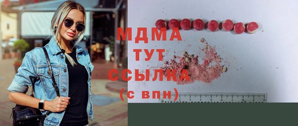 индика Арсеньев