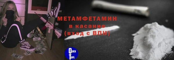 индика Арсеньев