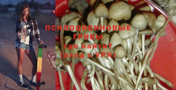 бошки Армянск