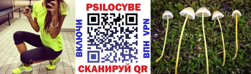 Псилоцибиновые грибы мицелий  Купить  Северо-Курильск 