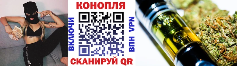 Купить где Северо-Курильск Бошки Шишки ГИДРОПОН